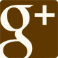 logo Google+
