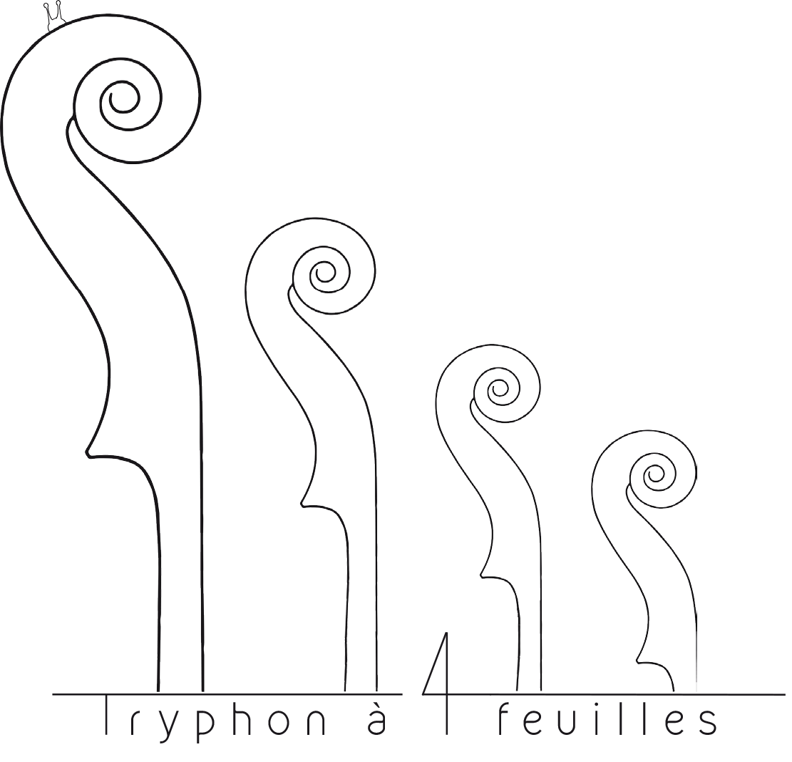 Logo tryphon